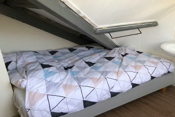 fp1.jpg