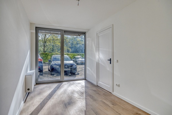 fp1.jpg