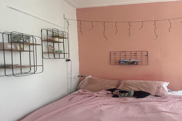 fp1.jpg
