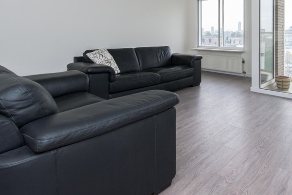 fp1.jpg