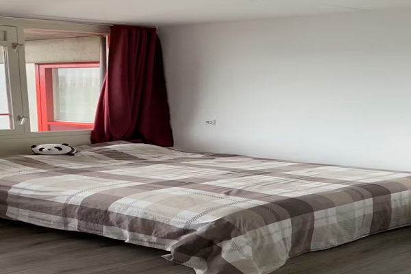 fp1.jpg