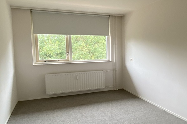 fp1.jpg